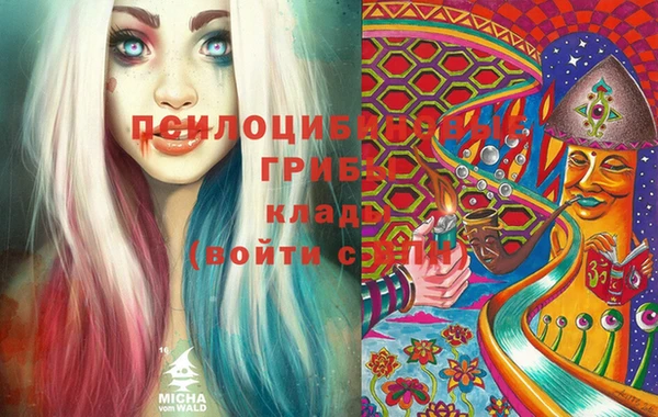 наркотики Белокуриха