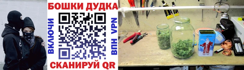 Шишки марихуана семена  гидра онион  Волгореченск  где купить наркоту 